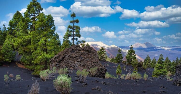 découvrez le fascinant monde des volcans : des formations géologiques impressionnantes aux éruptions spectaculaires. explorez leur impact sur la planète et leur importance dans l'écosystème, ainsi que les différentes types de volcans à travers le monde.