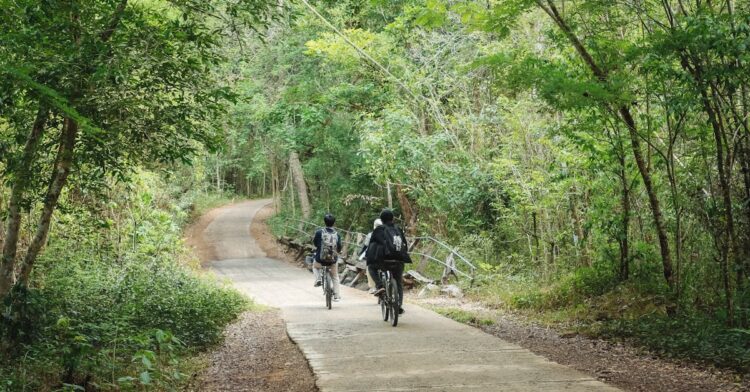 découvrez les meilleures routes de cyclisme en france! que vous soyez un cycliste débutant ou expérimenté, trouvez des parcours adaptés à tous les niveaux, à travers des paysages époustouflants et des sites historiques. préparez votre prochaine aventure à vélo dès maintenant!