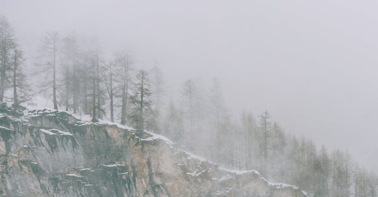 découvrez la magie des chutes de neige dans notre article sur les neiges d'hiver. plongez dans un univers féérique où chaque flocon raconte une histoire, et explorez les meilleures destinations pour profiter des paysages enneigés.